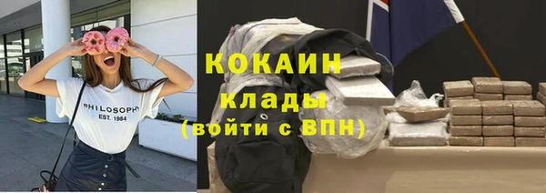 apvp Алзамай
