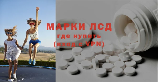 apvp Алзамай