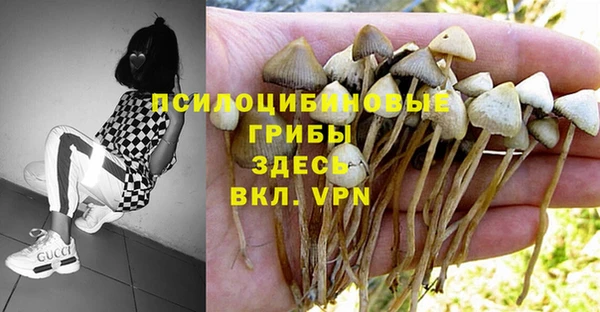 кристаллы Абаза